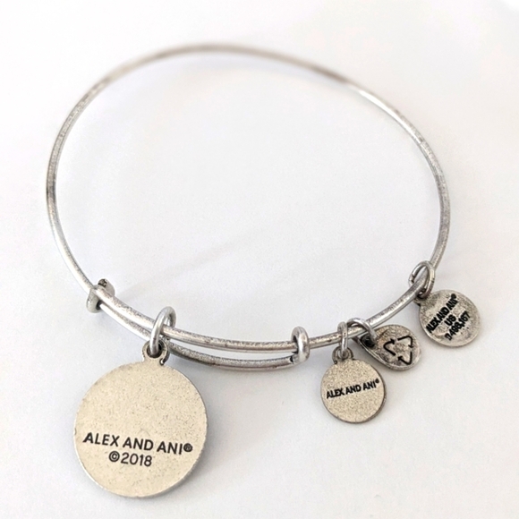 𝅺ALEX and ANI Soul Sister Expendable Stackable Bracelet - Picture 4 of 5
